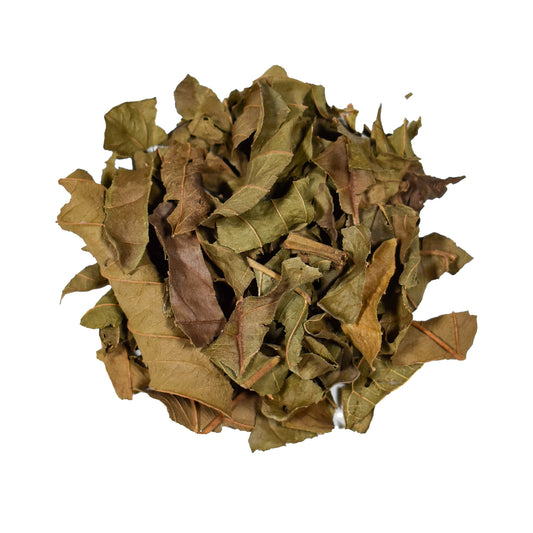 Nakazen: Guava Leaf Tea