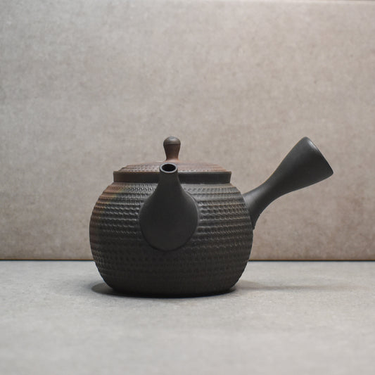 Tokoname: Fire Kiln Varnished Kyusu by Hirotaka Umehara