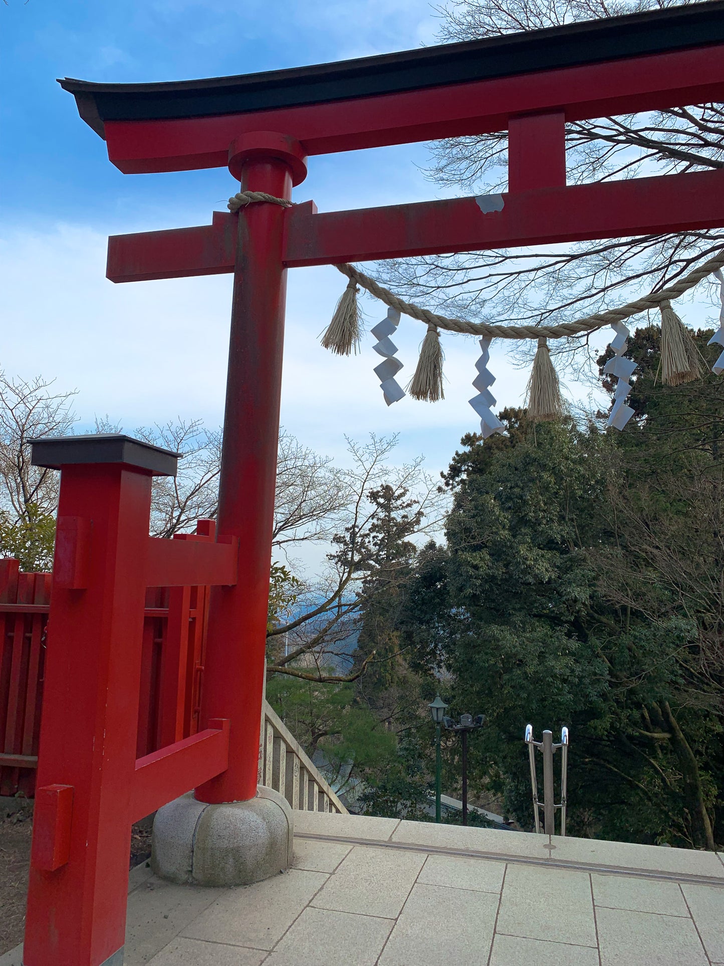 Takao-san Yakuo-in Blended Herbal Tea