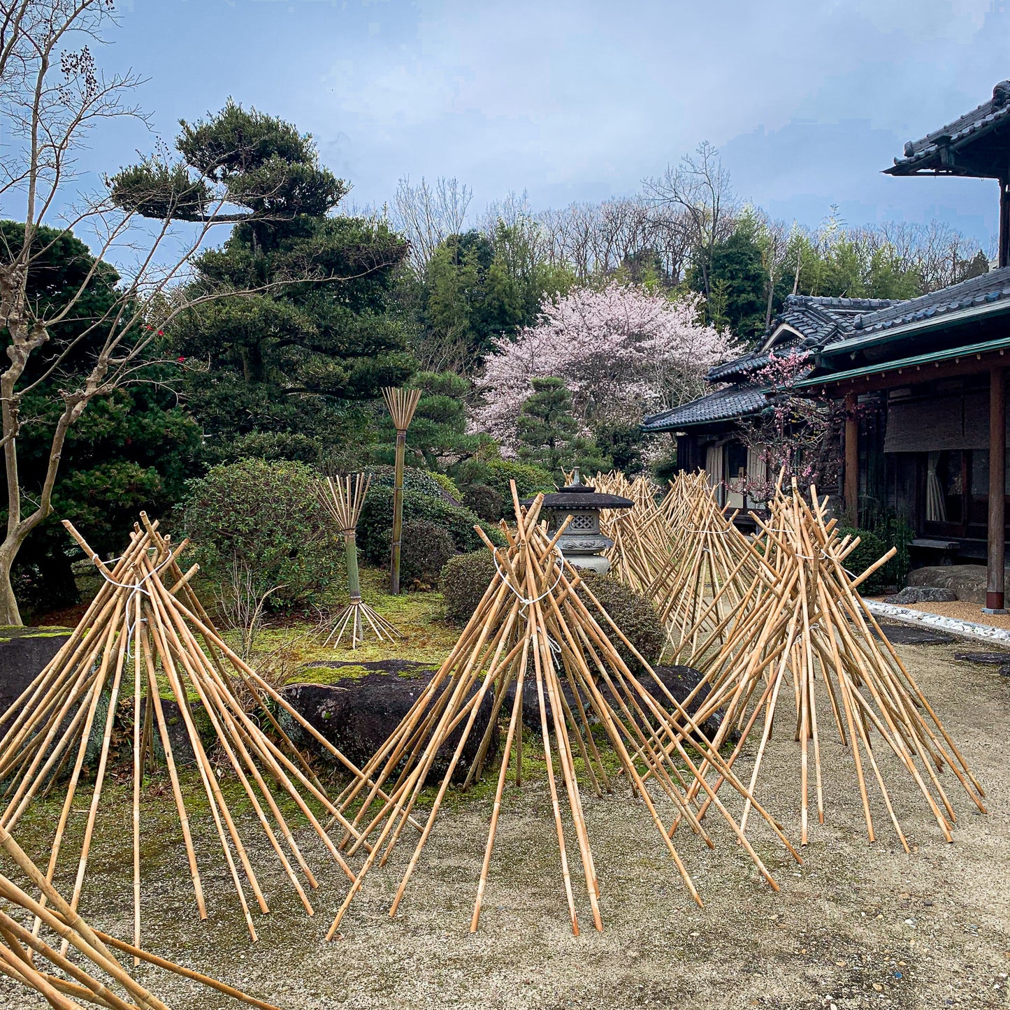 Suikaen Takayama Chasen: Mizuya Chashasku