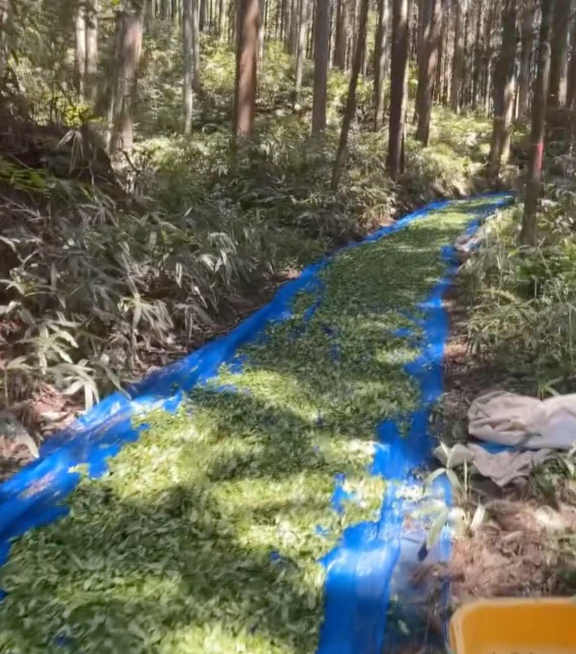 Yusando: Full Moon Wakocha