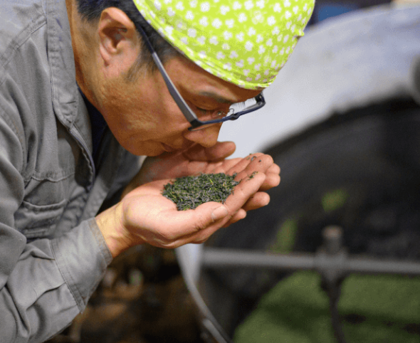 Isshin-en: Miyazaki Single Cultivar Yamanami Wakocha
