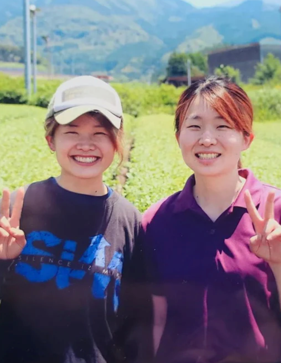 Koukien Tea Garden: Asamushi Kabusecha