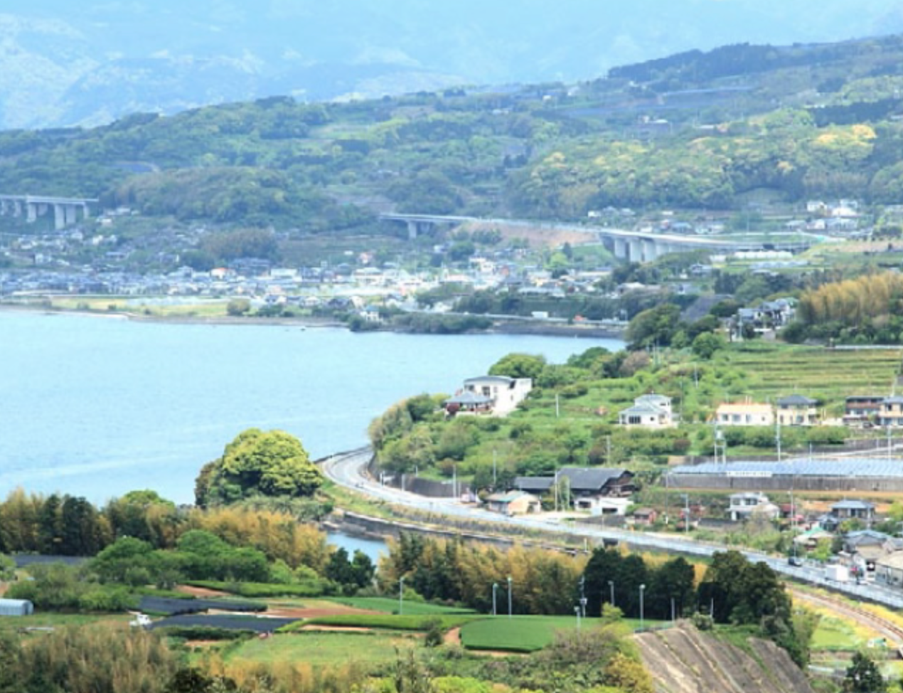 Matsuo-chaen: Shiokaze Sonogi Matcha