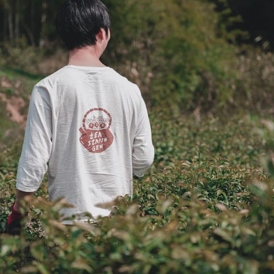 Tea Factory Gen: Setouchi Craft Hojicha
