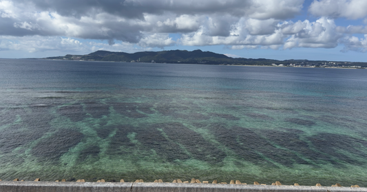 Red Earth and Red Tea: Yachimun Pottery and Okinawa's Black Tea