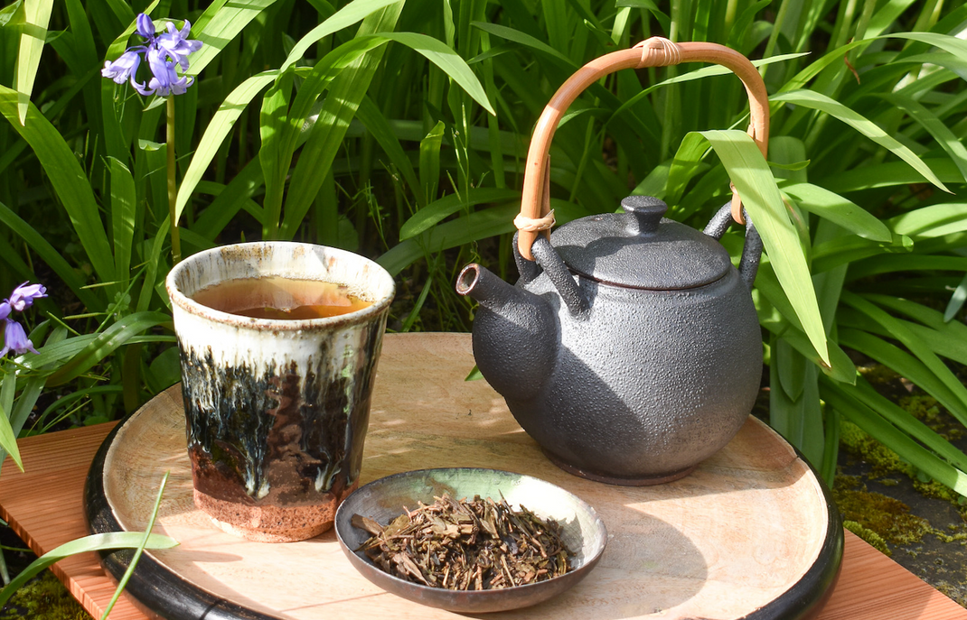 Early Spring Sale – Tencha