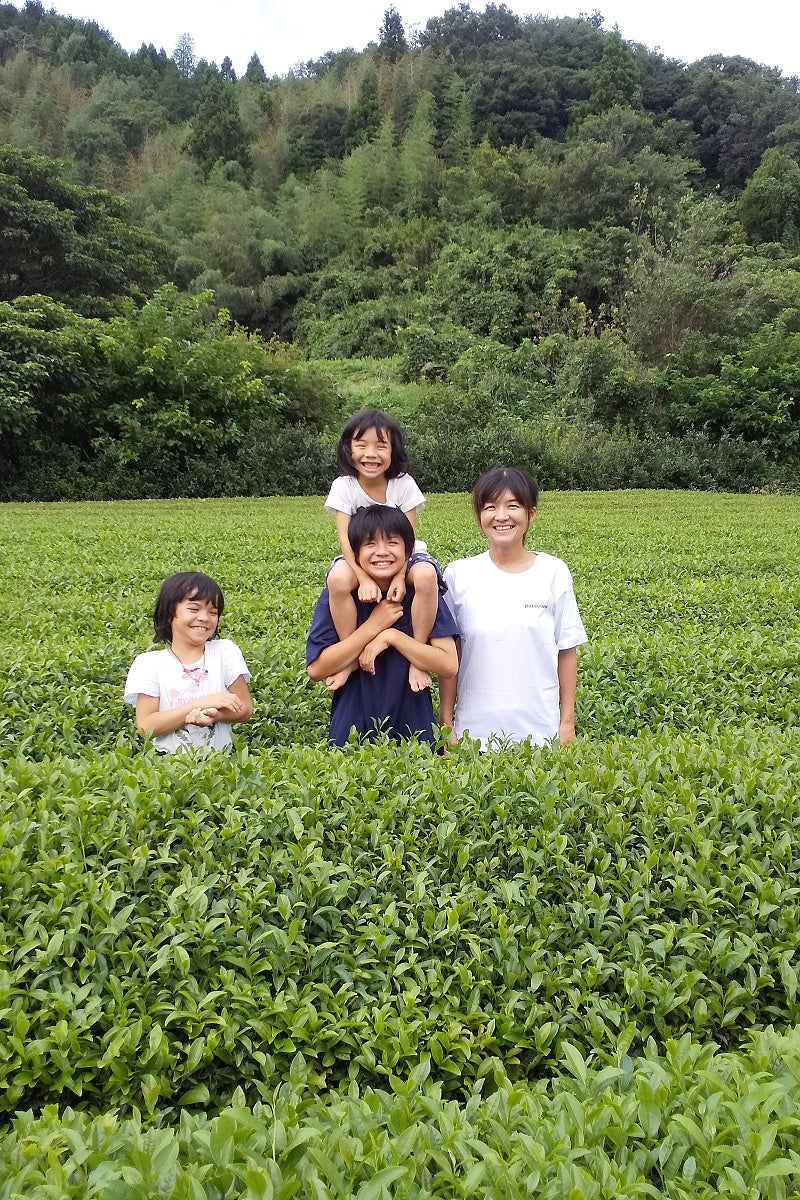Kinpouen Seicha: Single Cultivar Saemidori Wakocha