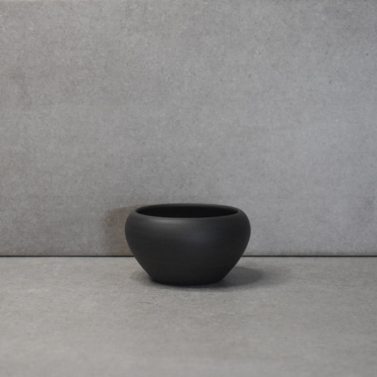 Saliu: Tokoname Ryo Cup