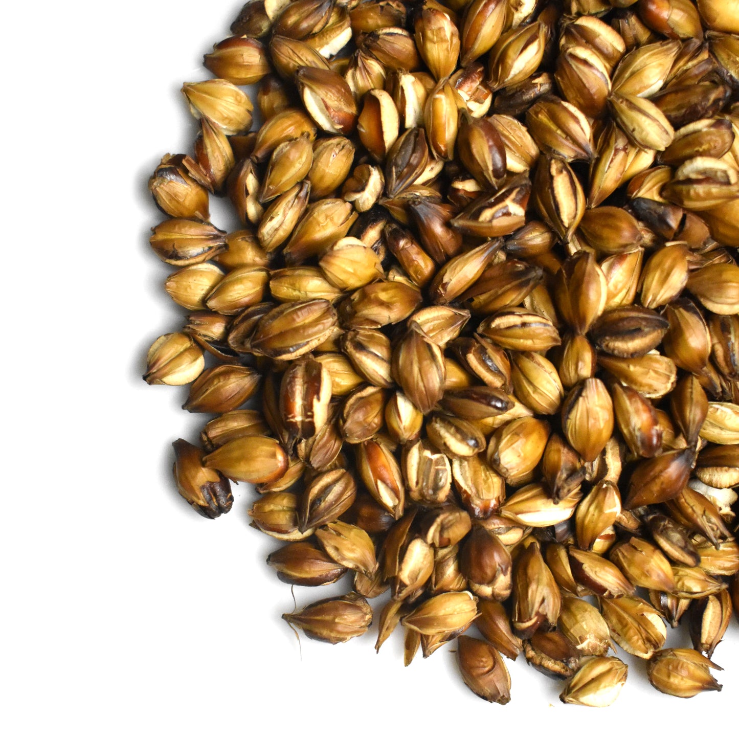 Nabeshima Meicha:  Mugicha, Barley Tea Bags