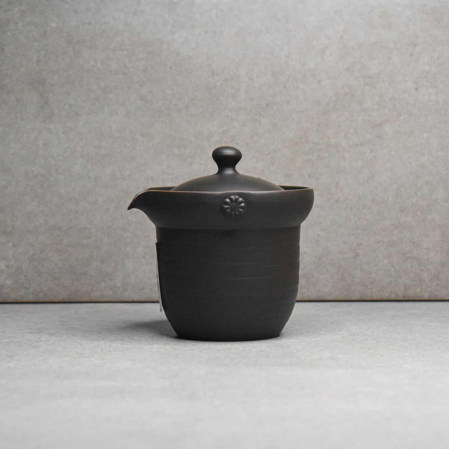 Tokoname: Ishiryu Chaho Teapot