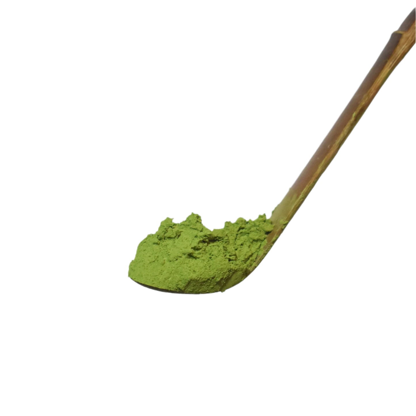 Kento Inoue: Ceremonial Kaya Uji Matcha