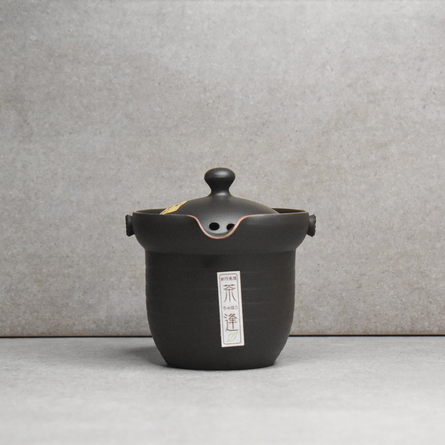Tokoname: Ishiryu Chaho Teapot