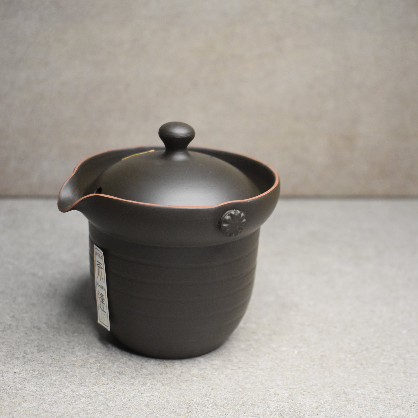 Tokoname: Ishiryu Chaho Teapot