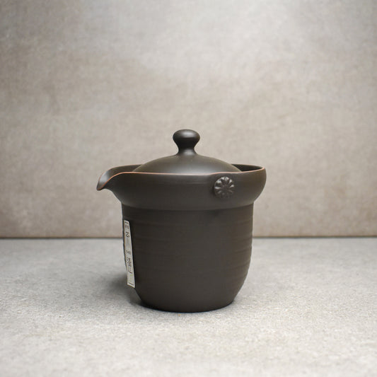 Tokoname: Ishiryu Chaho Teapot