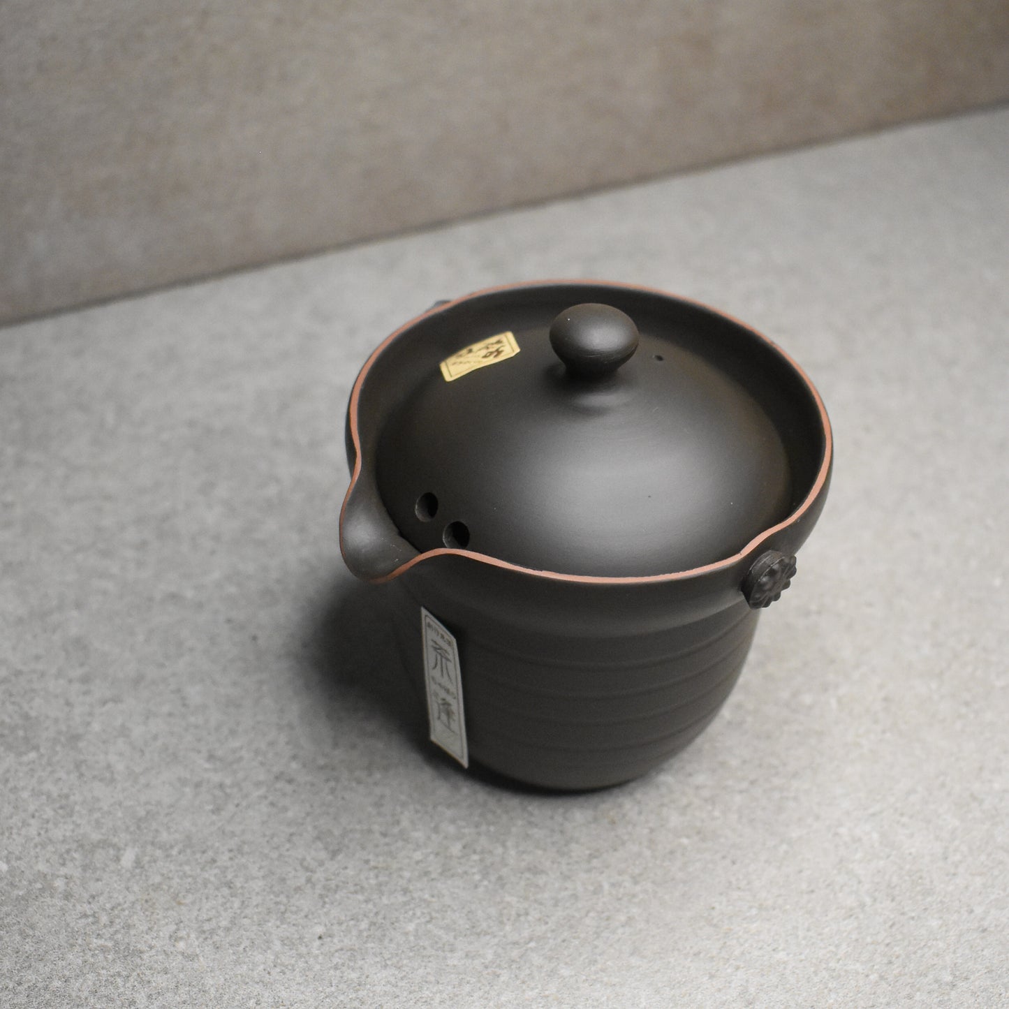 Tokoname: Ishiryu Chaho Teapot