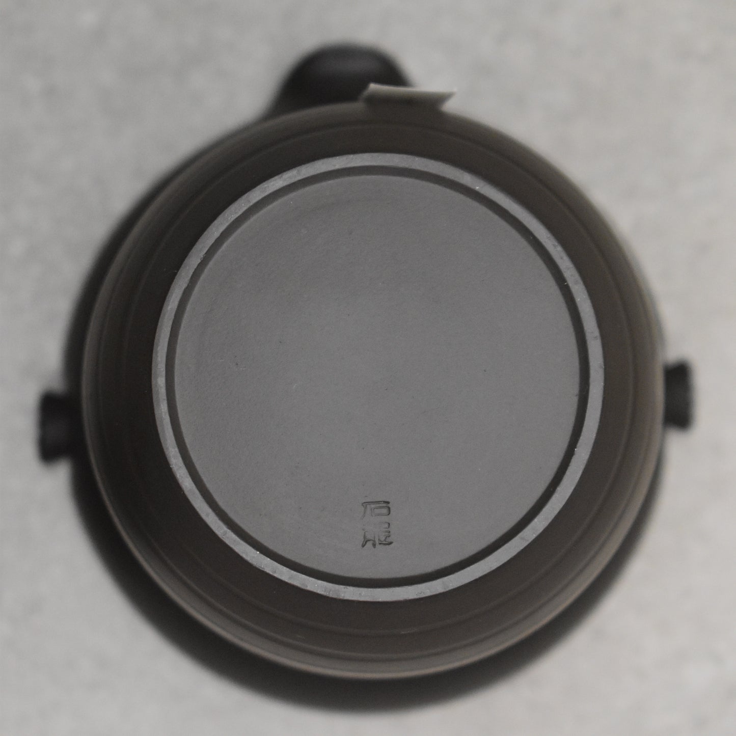 Tokoname: Ishiryu Chaho Teapot