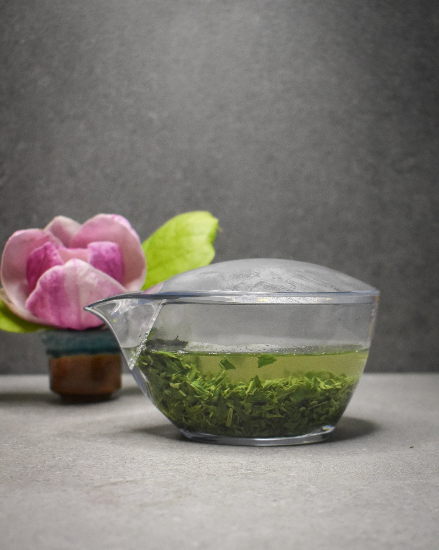 Iba Takahiro Tea Garden: 2026 Shincha! Single Cultivar Shoju Sencha