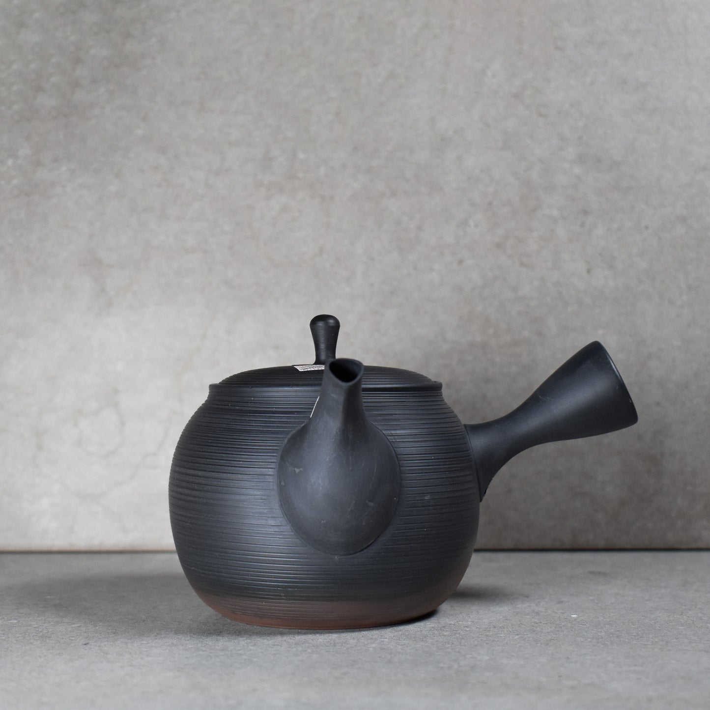 Tokoname: Large Tamamitsu Bishu Kyusu