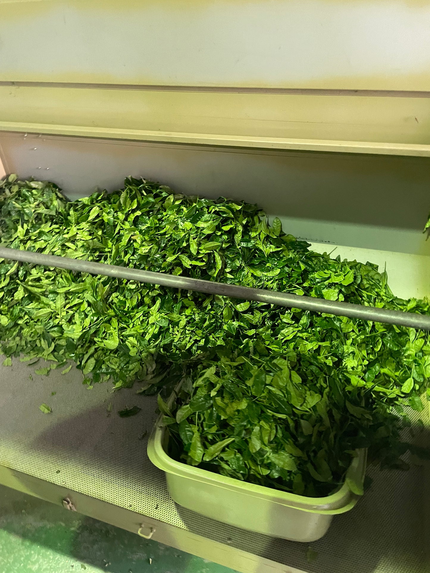 Uejima Tea Farm: Imperial Ceremonial Grade, Tempaku Matcha