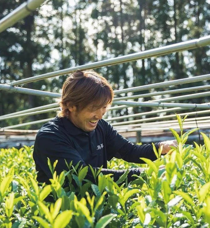 Kurihara Tea Farm: Yame Gyokuro Shira-ore