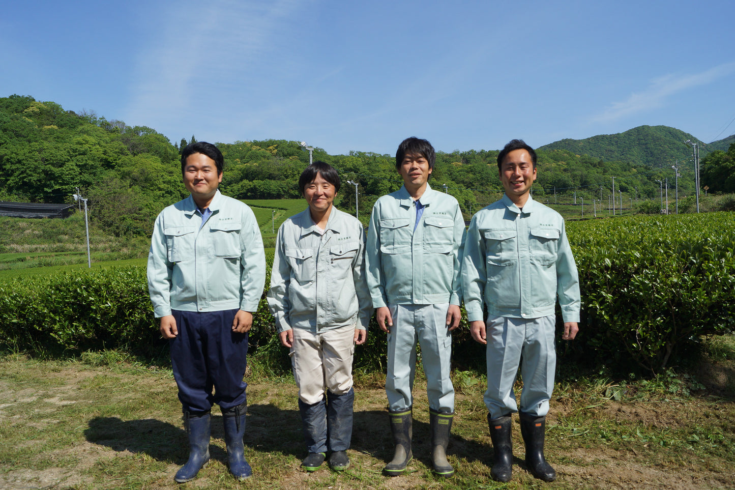 Izumo Seicha: Kiwami Izumocha Sencha 2024